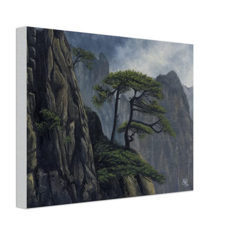 "Tree of Wisdom" -China, Yellow Mountain Canvas Art Print