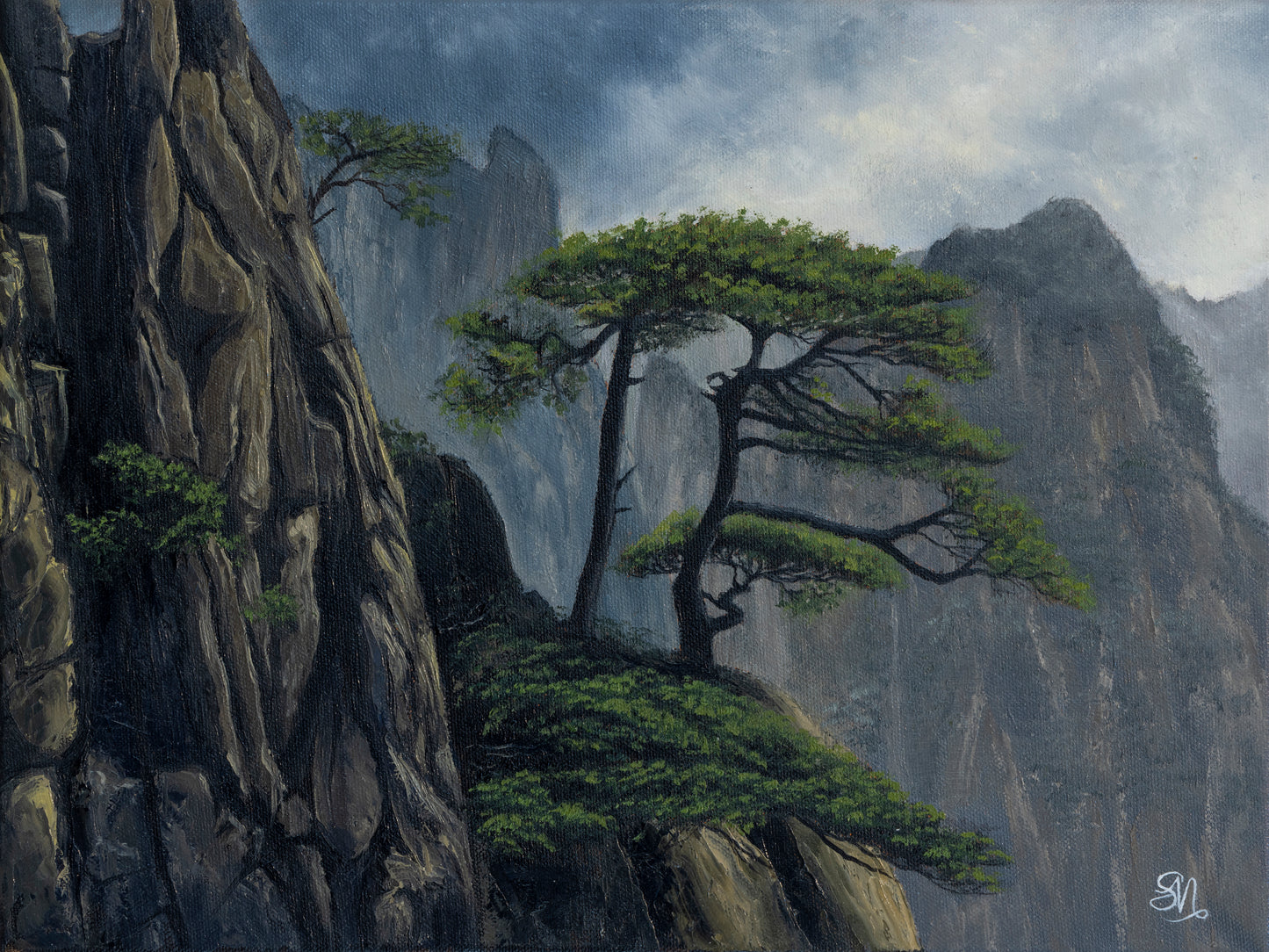 "Tree of Wisdom" -China, Yellow Mountain Canvas Art Print